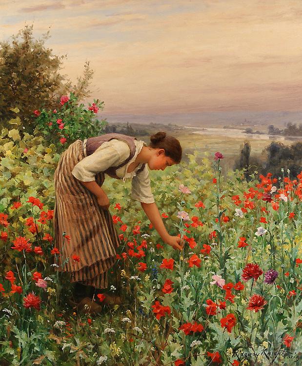 Daniel Ridgeway Knight Girl Picking Poppies China oil painting art